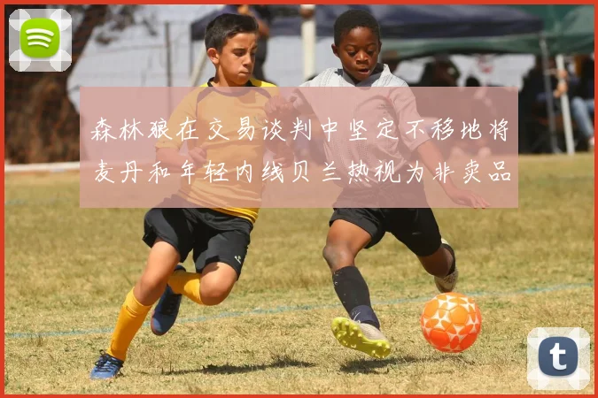 森林狼在交易谈判中坚定不移地将麦丹和年轻内线贝兰热视为非卖品